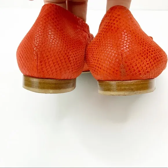 AGL Snakeskin Patent Cap Toe Orange Red Flats 36