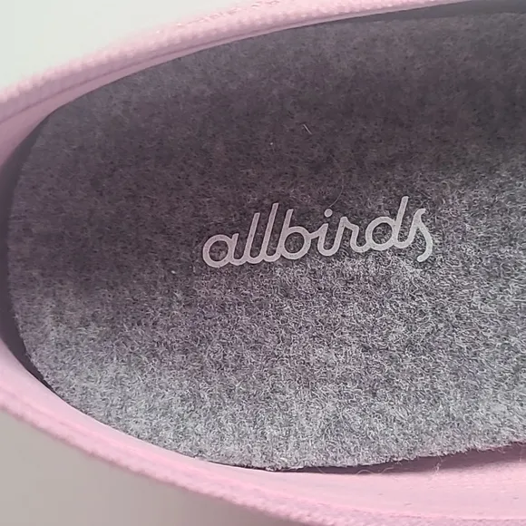 Allbirds Wool Breezers Ballet Flats Pink Size 10