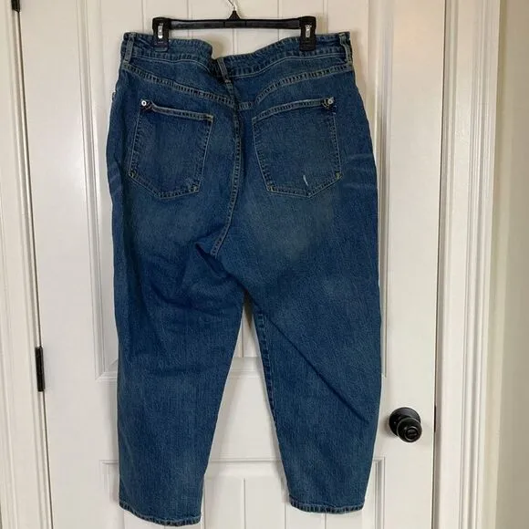 Anthropologie Pilcro Womens The Borrowed Boyfriend Jeans Size 18 W Plus Med Wash