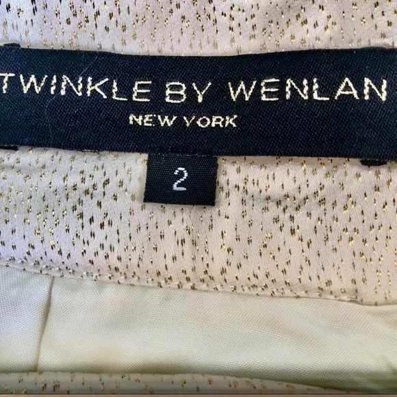 ANTHROPOLOGIE 🦋SZ 2 🦋SHIMMERING SILK DROP WAIST BROCADE SKIRT CREAMS GOLDS PINKS