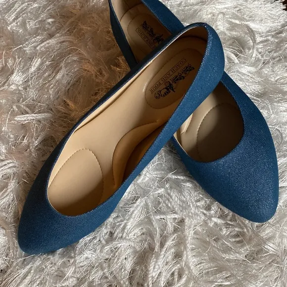 Coach and Four Women’s Juliette Chambray with Metallic Shimmer Pointed Toe Flats