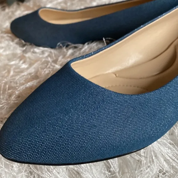 Coach and Four Women’s Juliette Chambray with Metallic Shimmer Pointed Toe Flats
