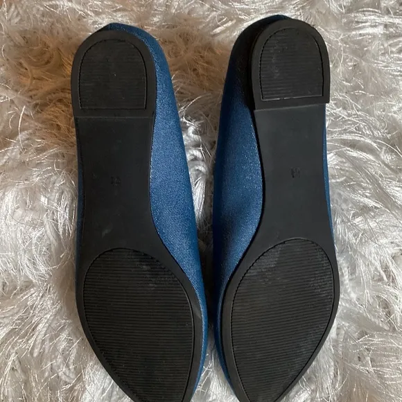 Coach and Four Women’s Juliette Chambray with Metallic Shimmer Pointed Toe Flats