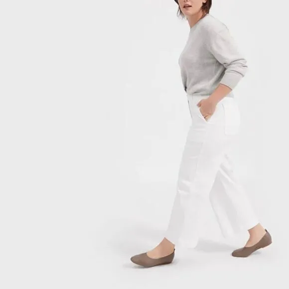 Everlane Ballet Flats Italian Leather Day Glove Shoe sz 11 in Neutral Mocha NWOB