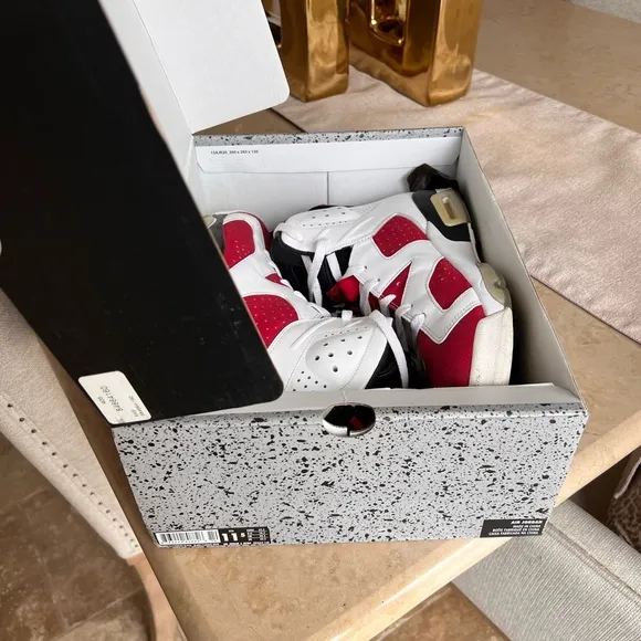 Jordan 6 Carmines: 2014 edition