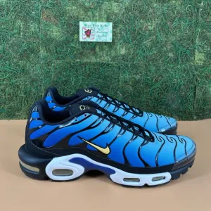 Nike Air Max Plus Blue Black Sneakers