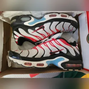 Nike Air Max Plus Red and Black Sneakers