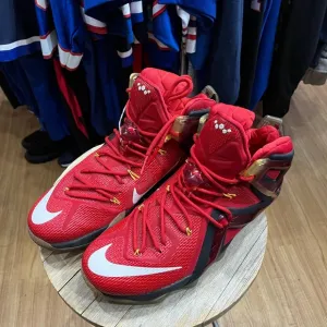 Nike LeBron 12 Elite Team 2015 Size 13