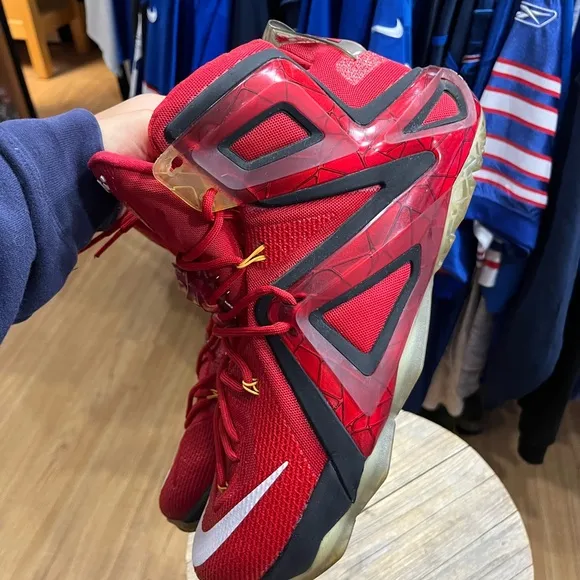 Nike LeBron 12 Elite Team 2015 Size 13