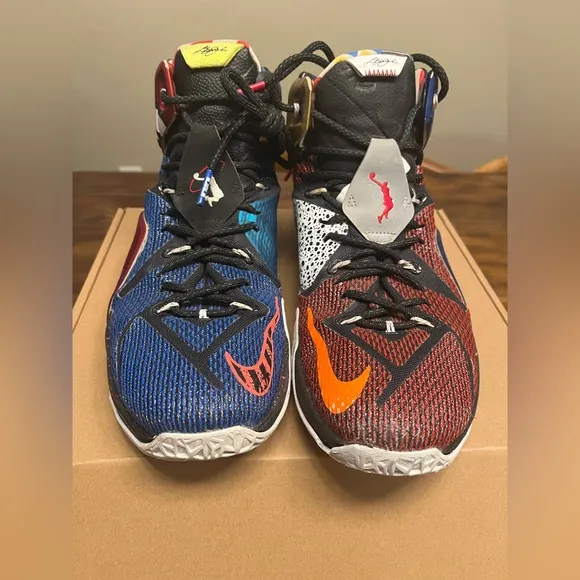 Nike LeBron 12 What the LeBron