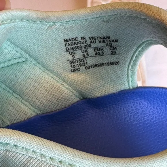 Nike Z Strap Sandals Blue and Turquoise
