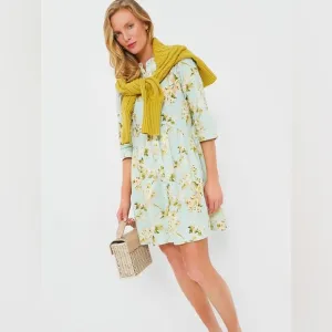 Tuckernuck Aqua Watercolor Royal Shirt Dress size xs nwt easter wedding garden