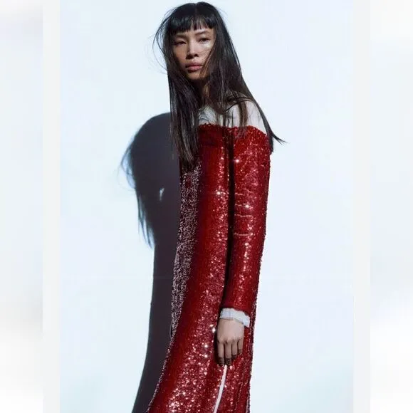 Zara Runs bigLimited EDITION- BLOGGER'S FAVE! SEQUIN CHIFFON DRESS ZW COLLECTION
